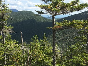 IMG_1757.jpg
