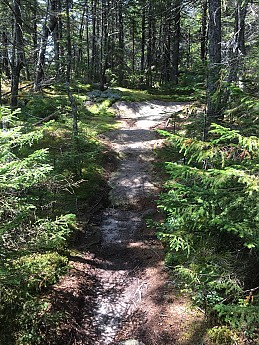 IMG_1758.jpg
