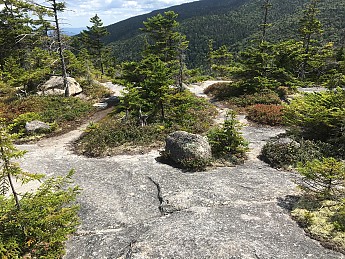 IMG_1759.jpg