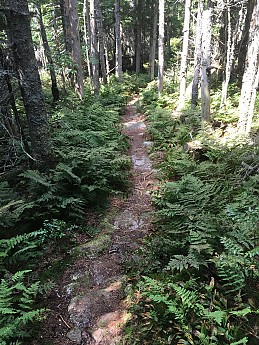 IMG_1760.jpg