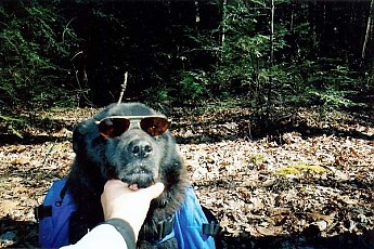 tj5160_090407_132435_256090.jpg
