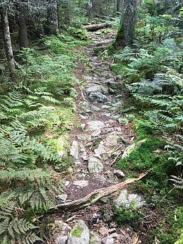 IMG_1762.jpg