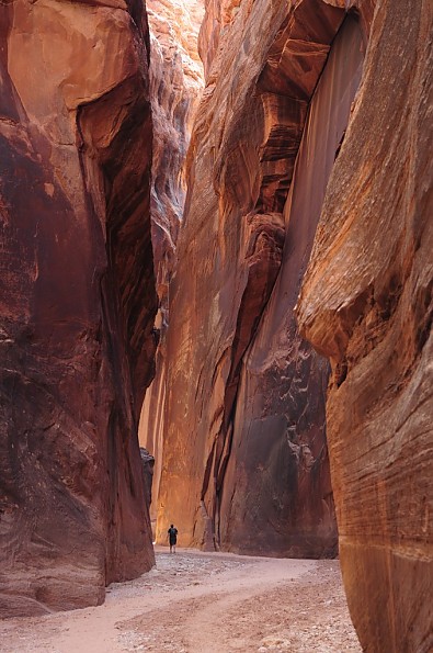 buckskin.jpg
