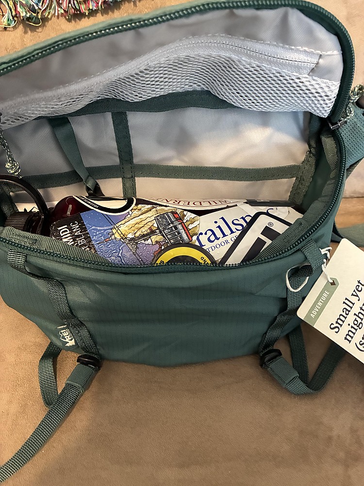 photo: REI Trail 5 Waistpack lumbar/hip pack