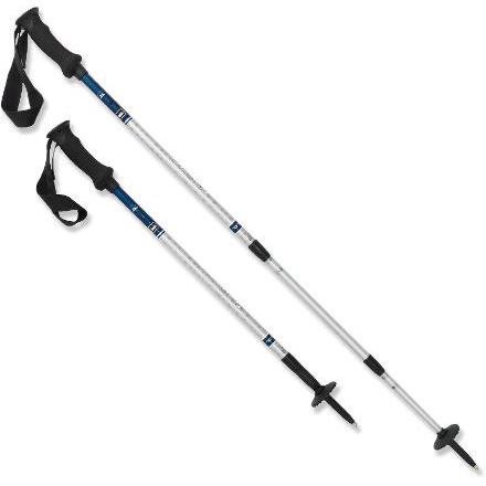 rei trekking pole