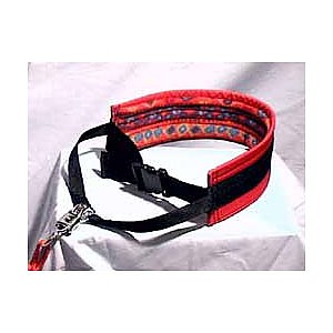 photo: Nooksack Racing Supply Trekking Belt and Bungee Line dog leash