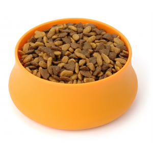 photo: Guyot Designs Squishy Pet Bowl dog bowl