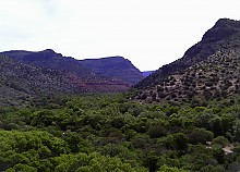 WCC-00.jpg