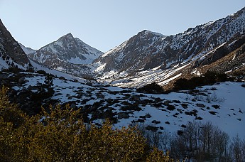 _DSC0421.jpg