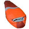 photo: EMS Men's Boreal 0 3-season synthetic sleeping bag