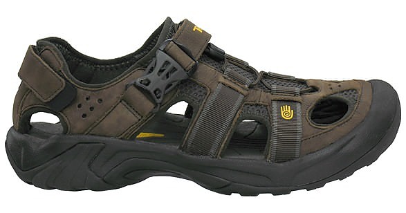 teva omnium review