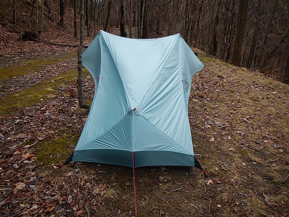 Msr 2024 flylite tent