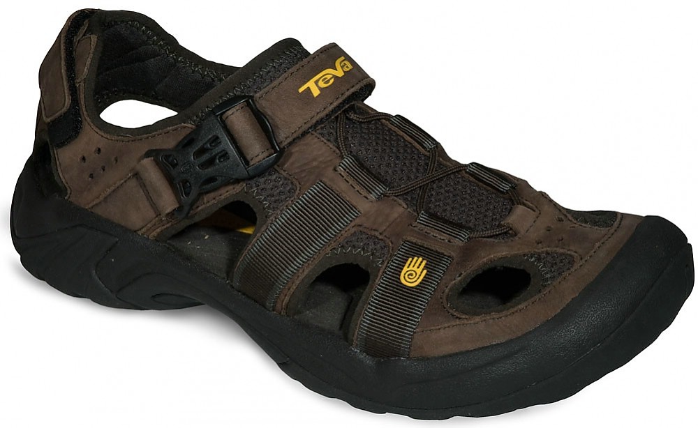 teva omnium review