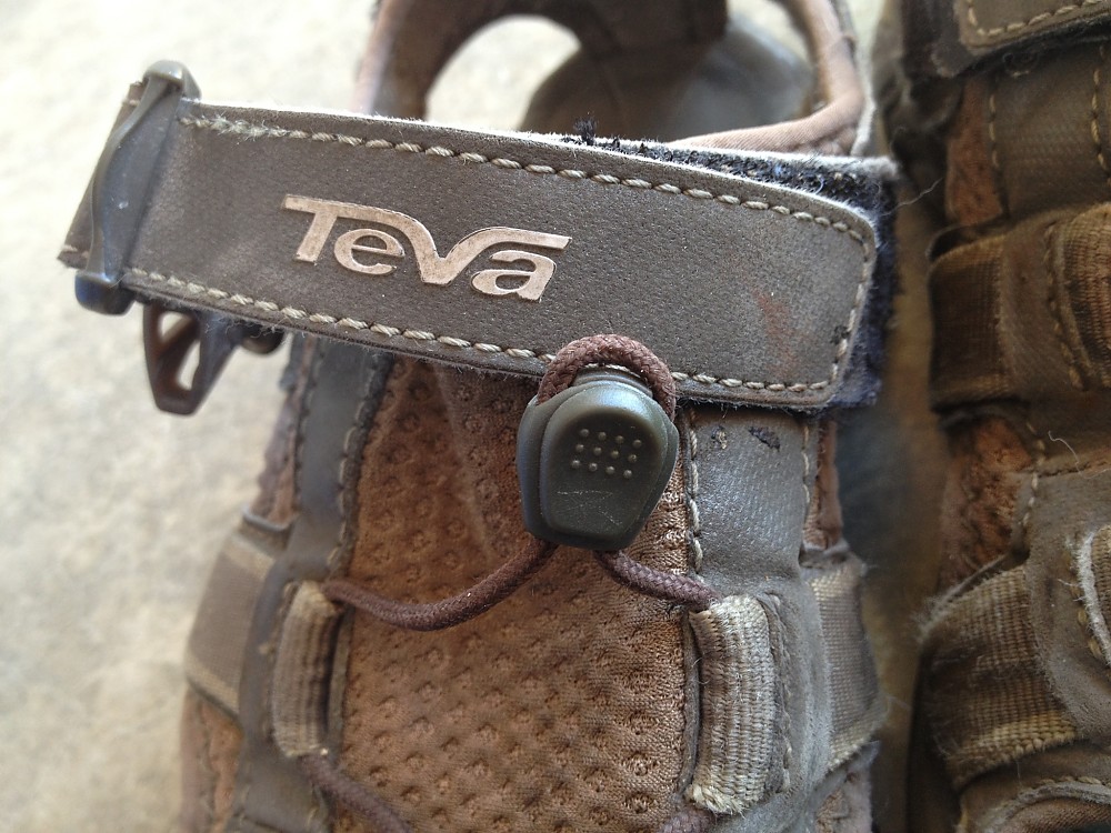 teva omnium review
