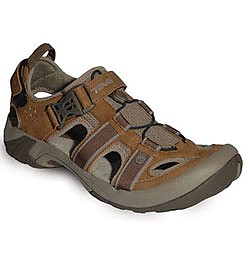 teva omnium review