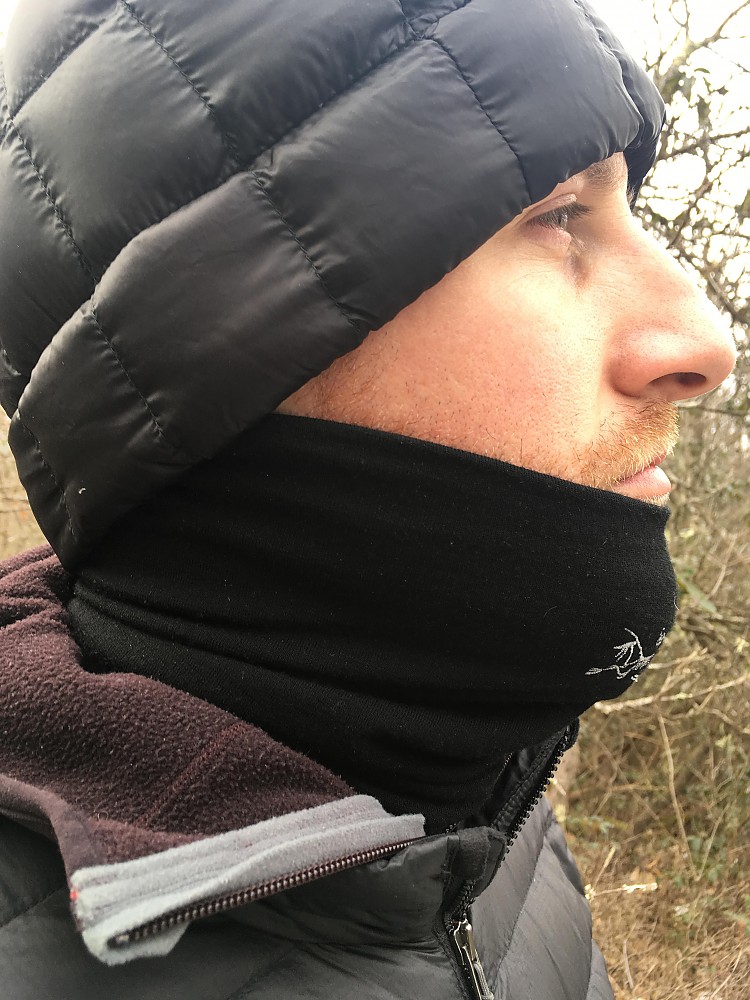 Arc'teryx Rho LTW Neck Gaiter Reviews Trailspace