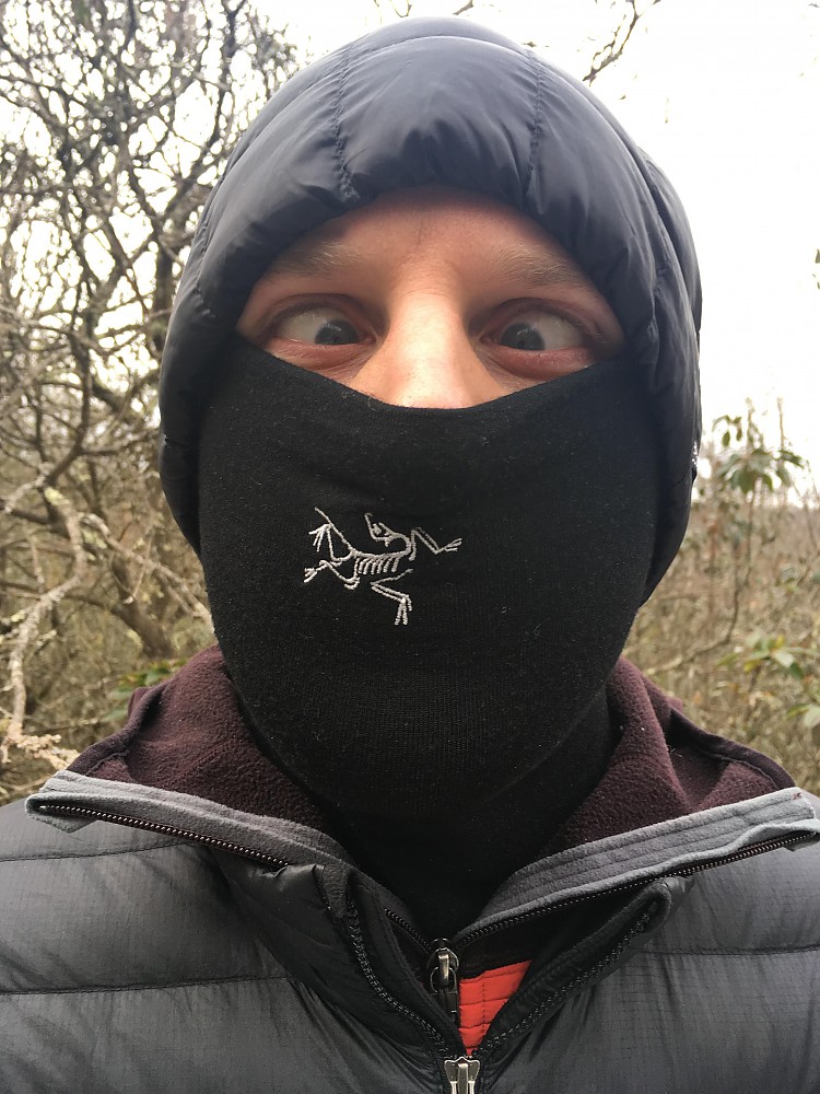 Arc'teryx Rho LTW Neck Gaiter Reviews Trailspace