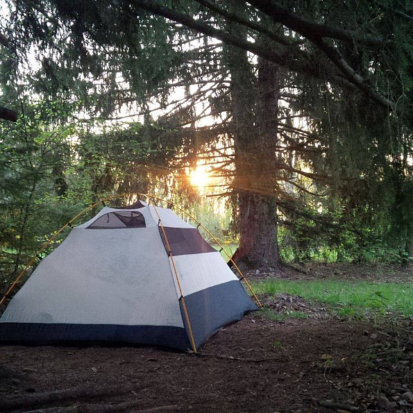 Kelty-Trail-Dome-4-under-fir-tree.jpg