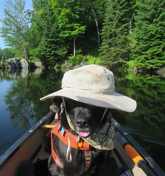 photo of a sun hat