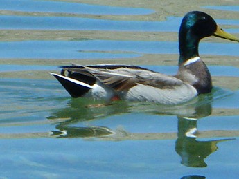 DSCF1228.jpg