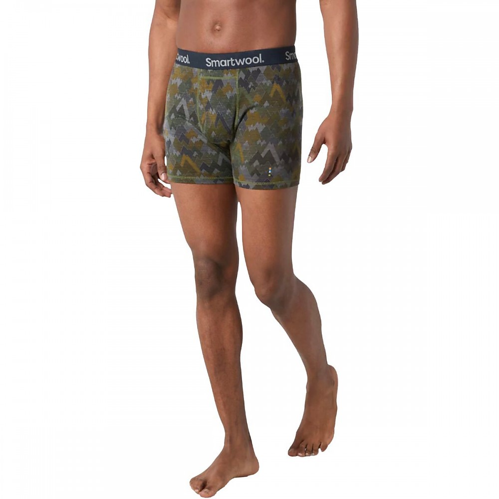 photo: Smartwool Merino Boxer Brief boxer/brief/bikini