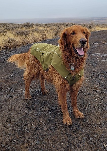 Ruffwear store overcoat fuse