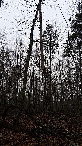 20170121_133246.jpg