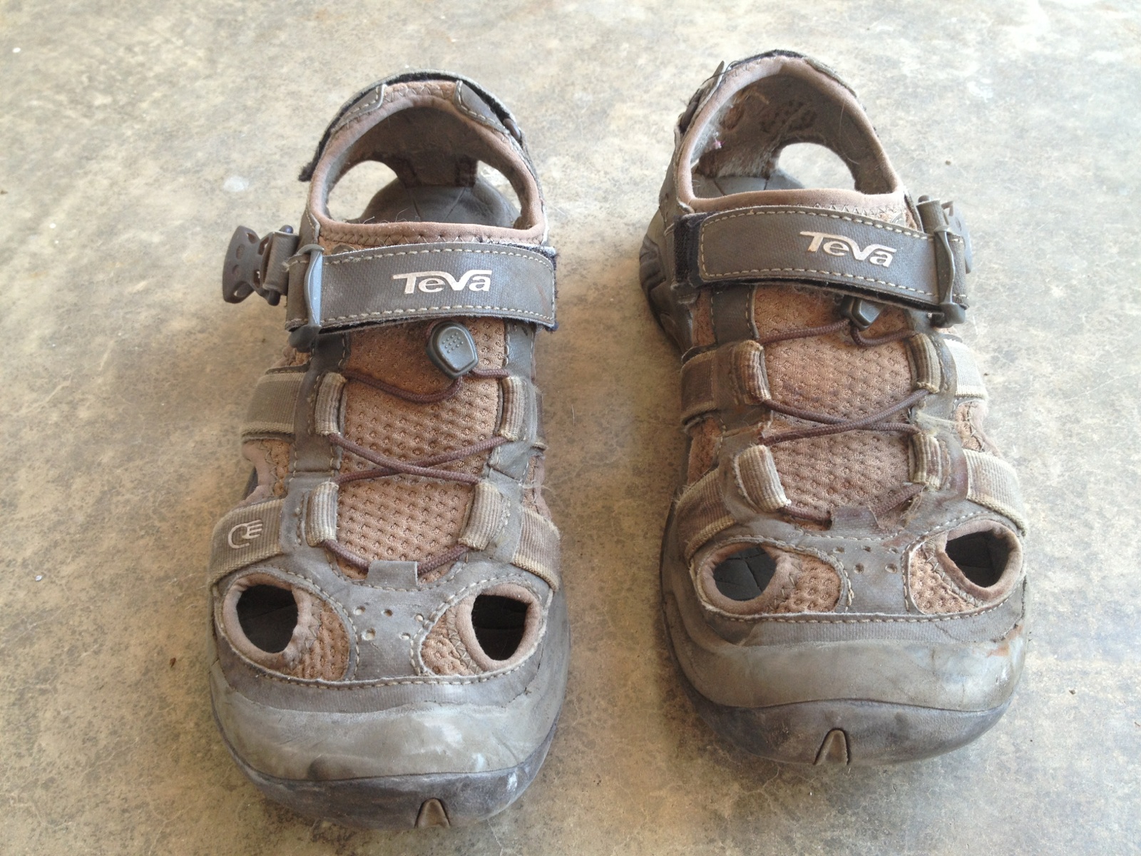 teva omnium review