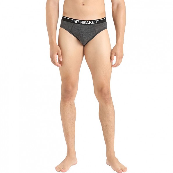 Icebreaker Anatomica Brief