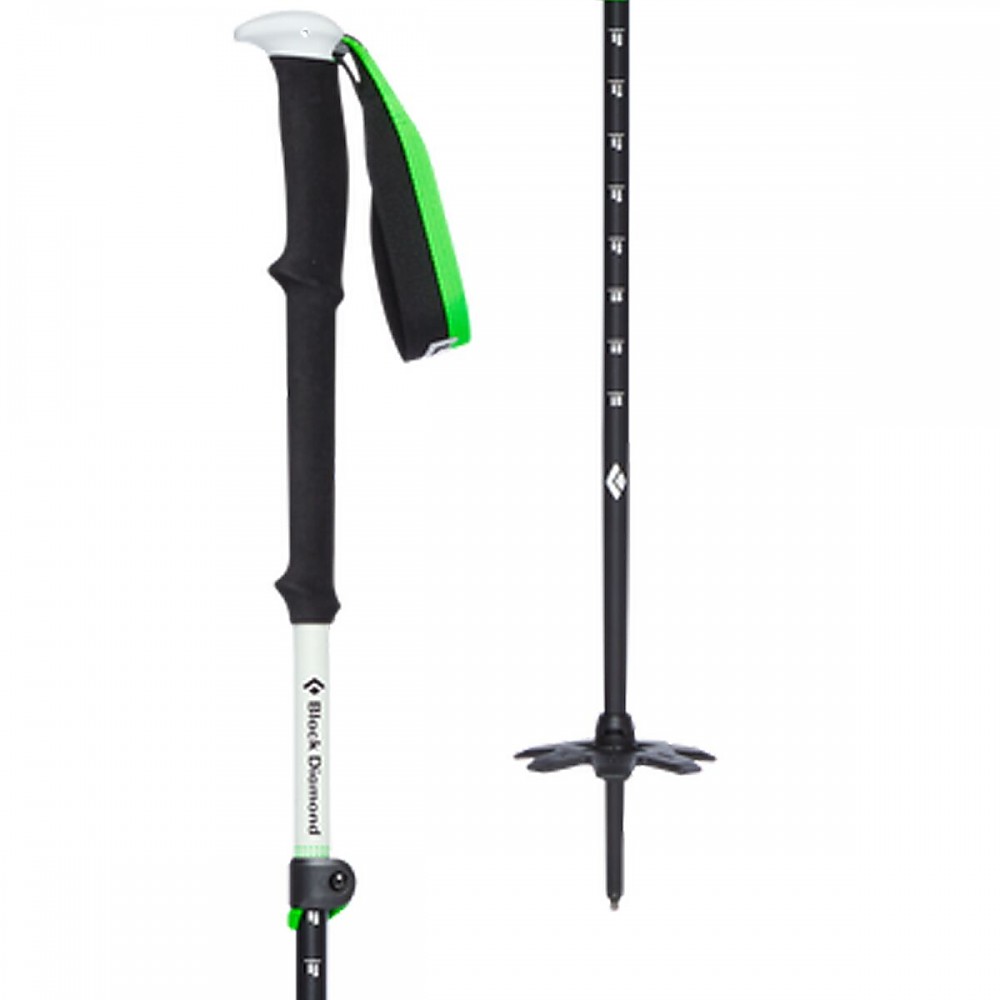 photo: Black Diamond Expedition 3 alpine touring/telemark pole