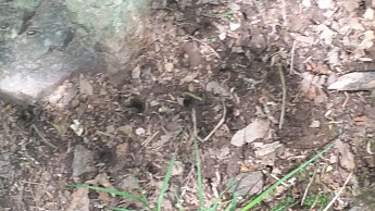 20170604_105320.jpg