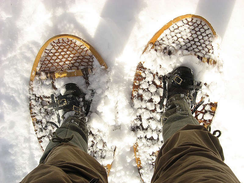 Faber Bear Paw Heavy Duty Lacing Reviews Trailspace