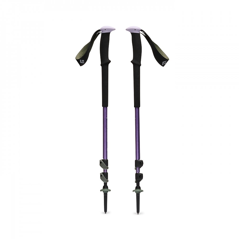 photo: Black Diamond Trail rigid trekking pole