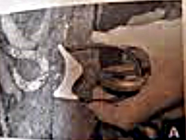 belay-device-unknown.jpg