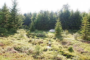 DSC_0961.jpg