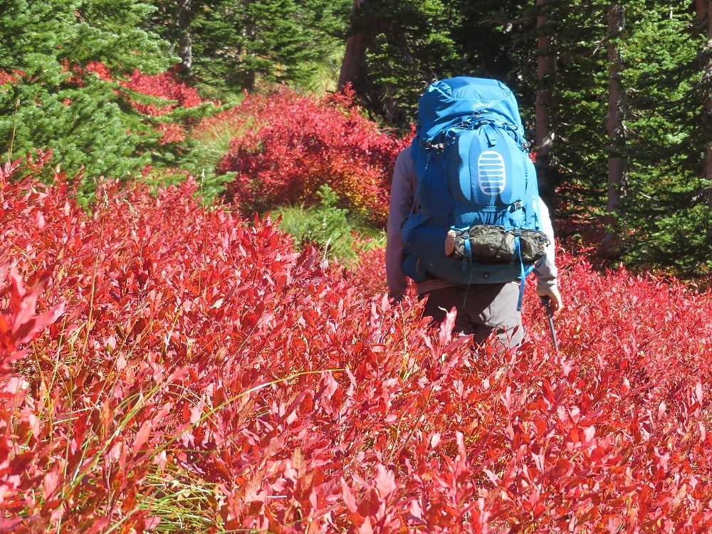 photo: Osprey Aether Plus 85 expedition pack (70l+)
