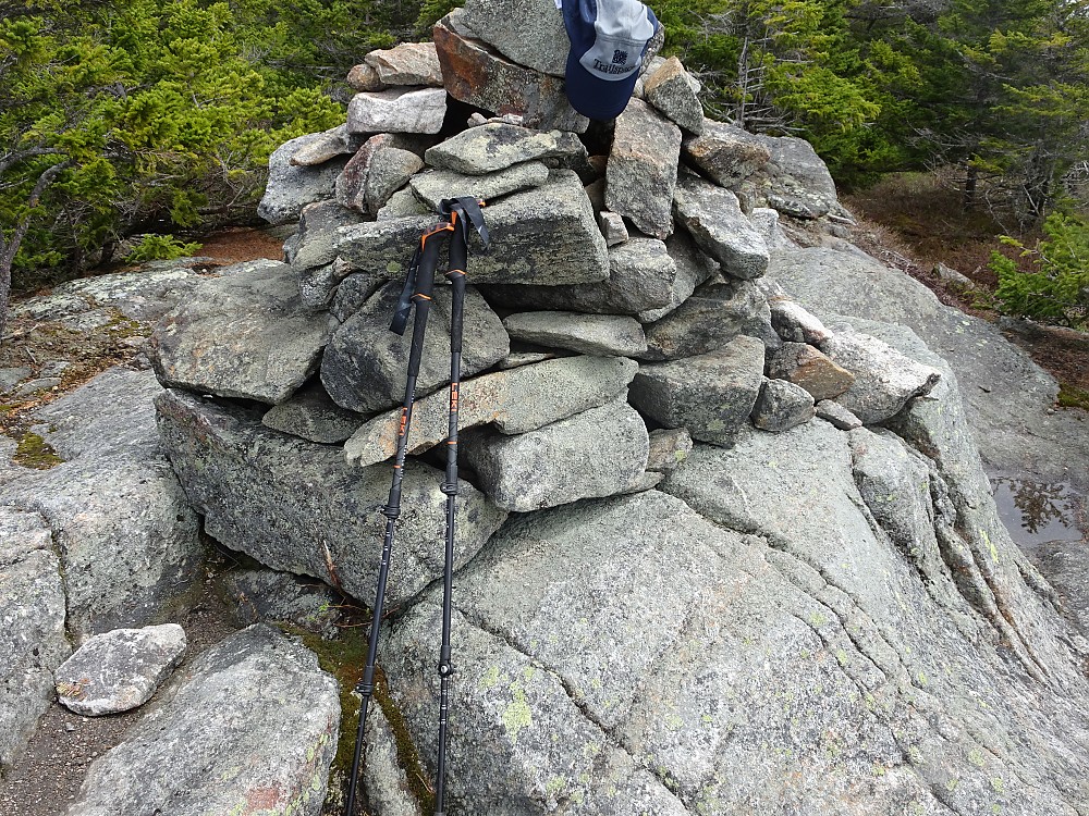 photo: Leki Makalu Lite rigid trekking pole