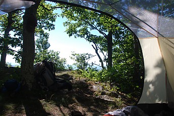DSC_0609.jpg