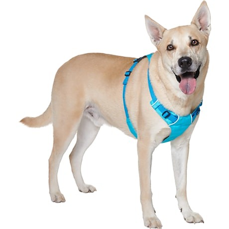 photo: Ruffwear Hi & Light Harness dog harness