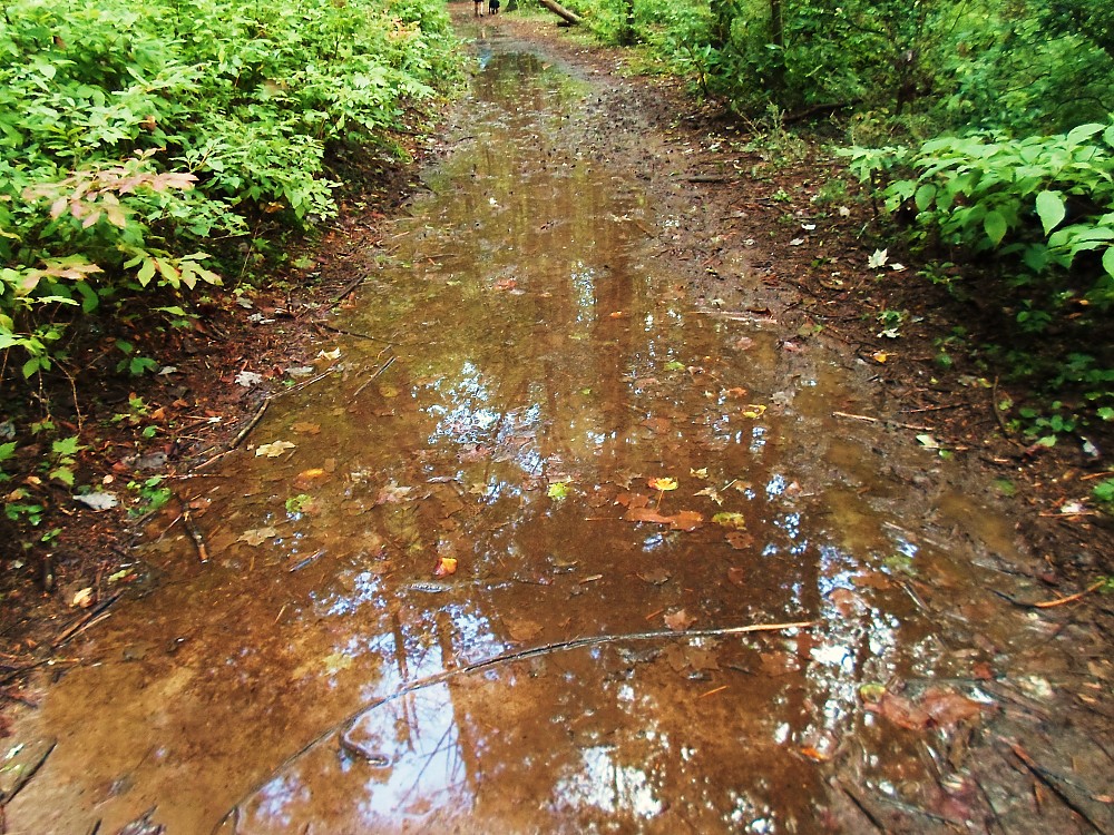 Outdoor Research Endurance Gaiters Reviews Trailspace