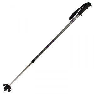 photo: Atlas Elektra 2-Part Poles nordic touring pole