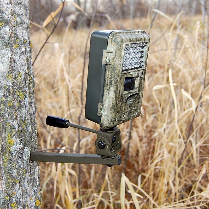 trail camera tree mount