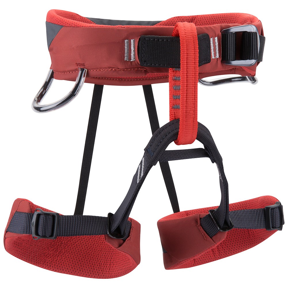 photo: Black Diamond Wiz Kid sit harness