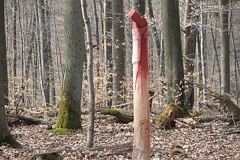 SAM_0502.jpg