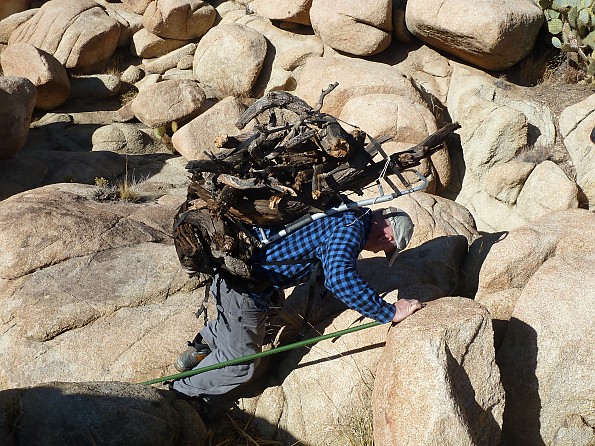 firewood.jpg