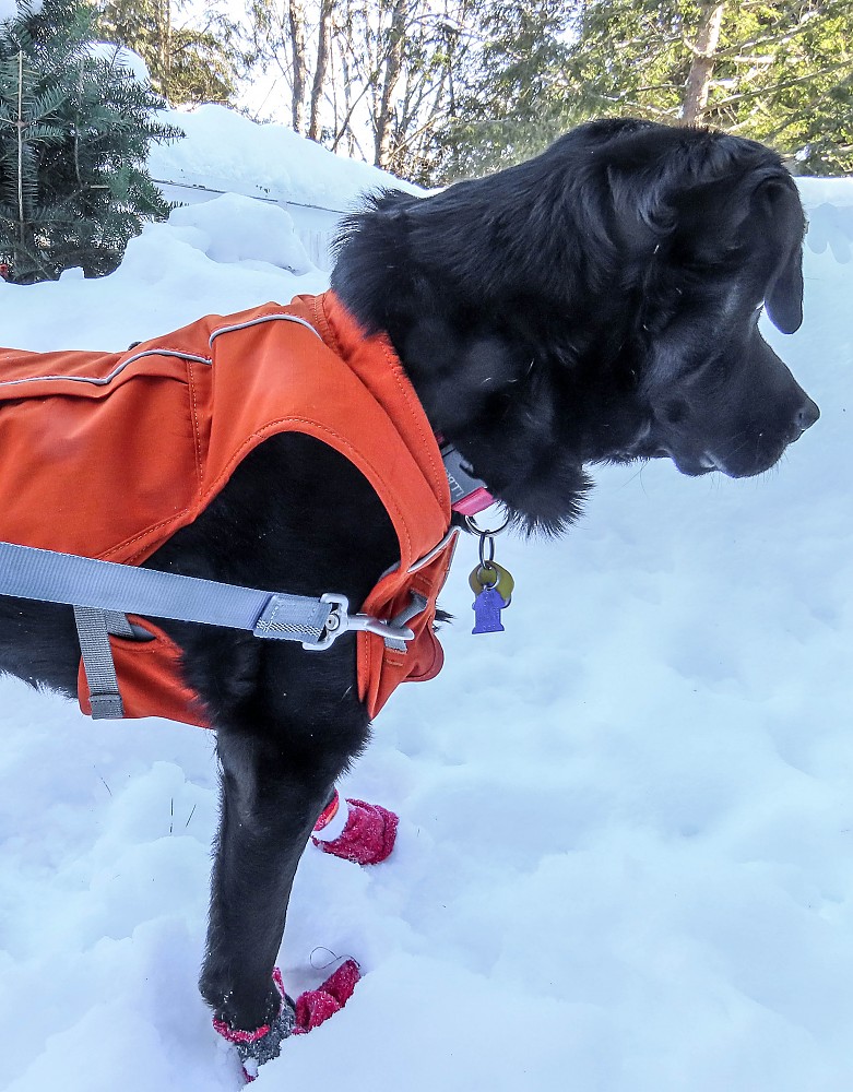 Ruffwear Overcoat Fuse Harness Jacket Reviews Trailspace