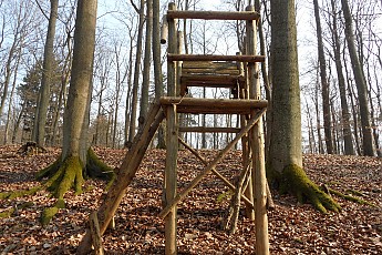 SAM_0505.jpg