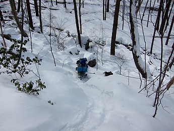 faceplant.jpg