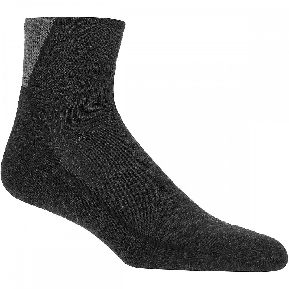 photo: Darn Tough Hiker 1/4 Sock Cushion hiking/backpacking sock