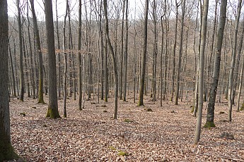 SAM_0506.jpg